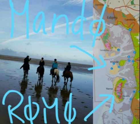 Mandø-Rømø Kombi-Tour
